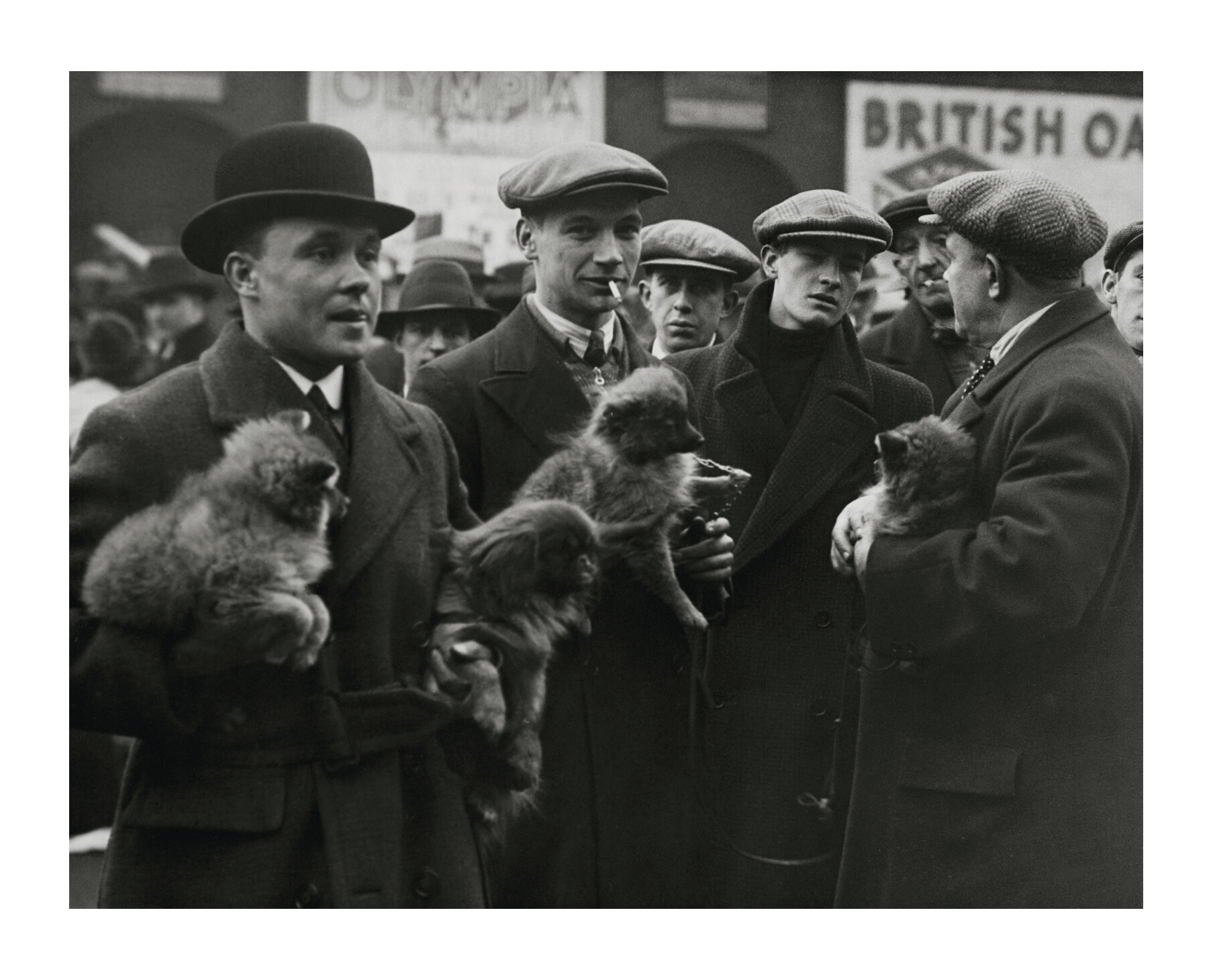 Hundemarkt in London by Martin Munkacsi - Classics.